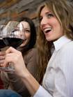 Sul fronte europeo guerra al Lambrusco guidata dalla Spagna