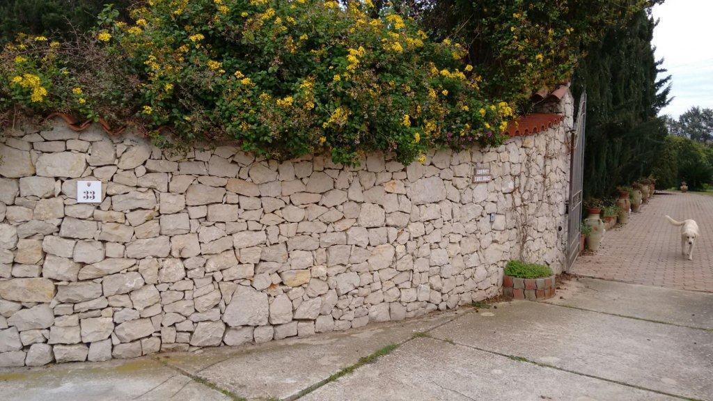 L'ingresso della villa nella quale è avvenuta l'aggressione