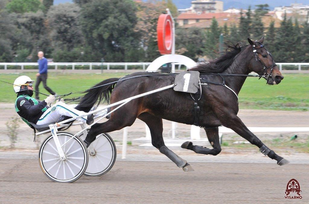 Radiofreccia Fi guidata da Enrico Bellei (Foto Rosellini)