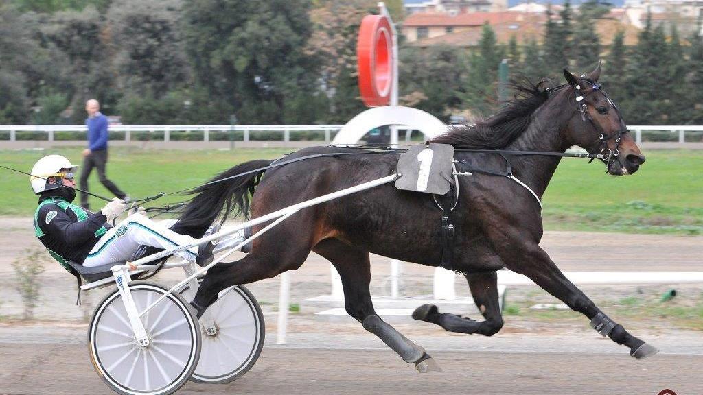 Radiofreccia Fi guidata da Enrico Bellei (Foto Rosellini)