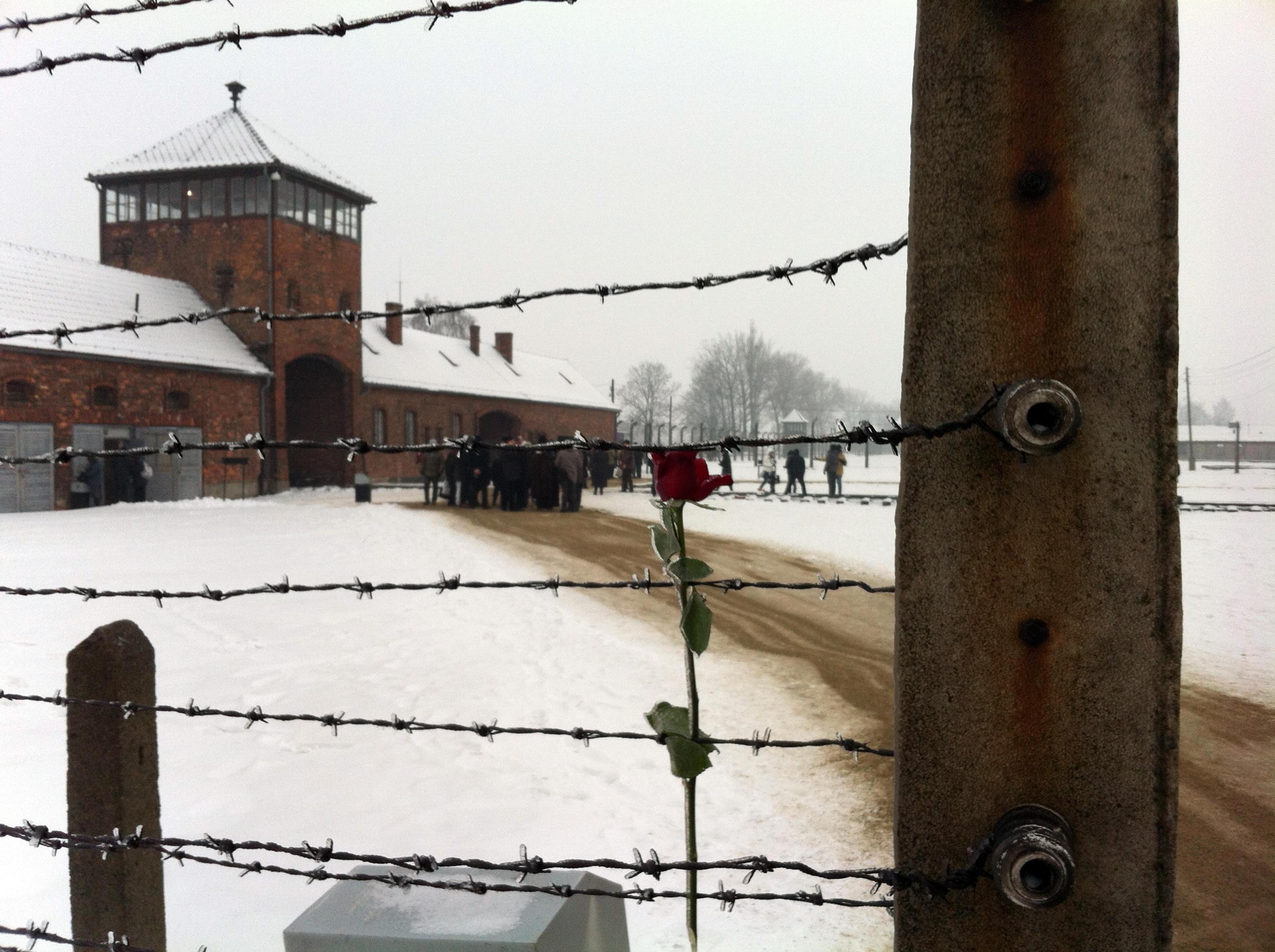 Una visita al campo di Auschwitz