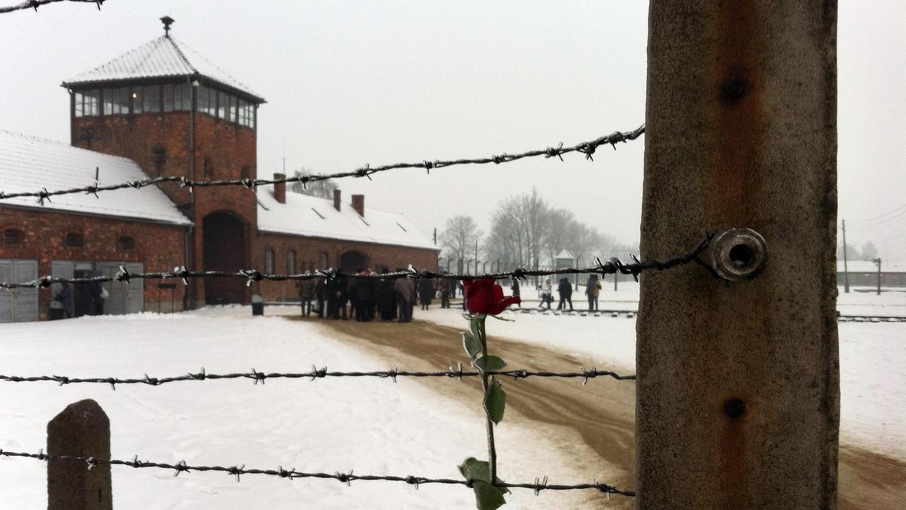 Una visita al campo di Auschwitz