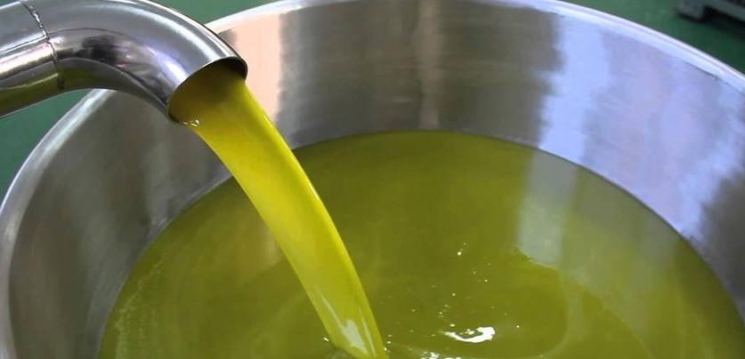 Olio extravergine, presto il verdetto degli assaggiatori 
