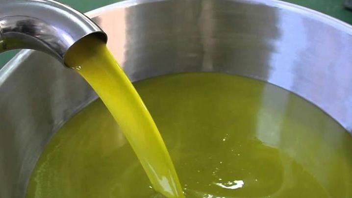 Olio extravergine, presto il verdetto degli assaggiatori