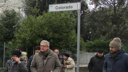 Colonie feline, i complimenti degli amministratori