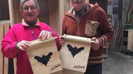 Arrivano le casette per ospitare i pipistrelli