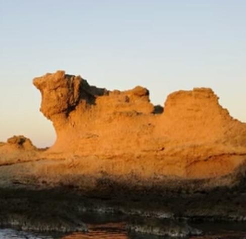 Il vento mutila la “testa del vitello” 