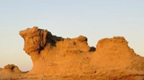 Il vento mutila la “testa del vitello”