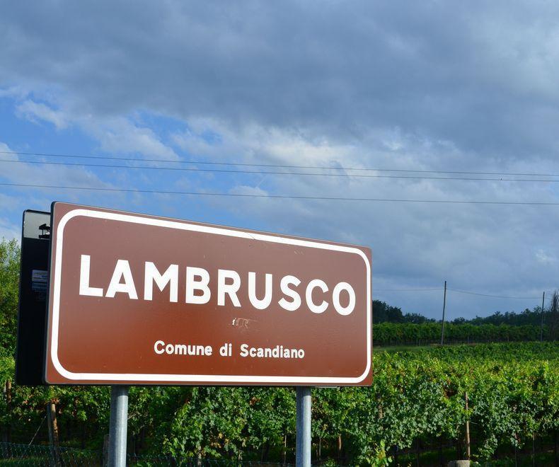 La Spagna “scippa” il nome Lambrusco e Scandiano insorge 