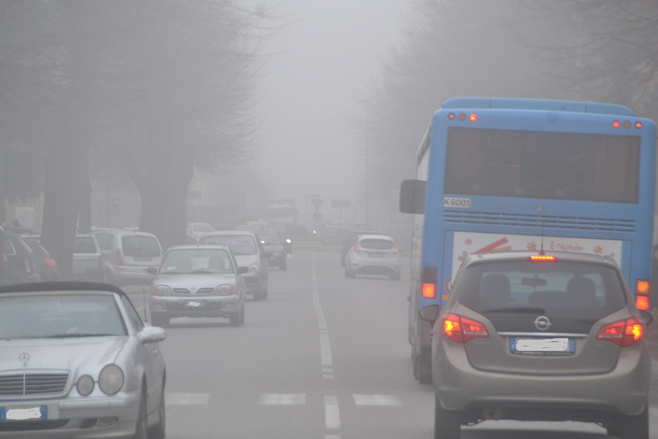 Un'immagine di viale Castracani lo scorso dicembre