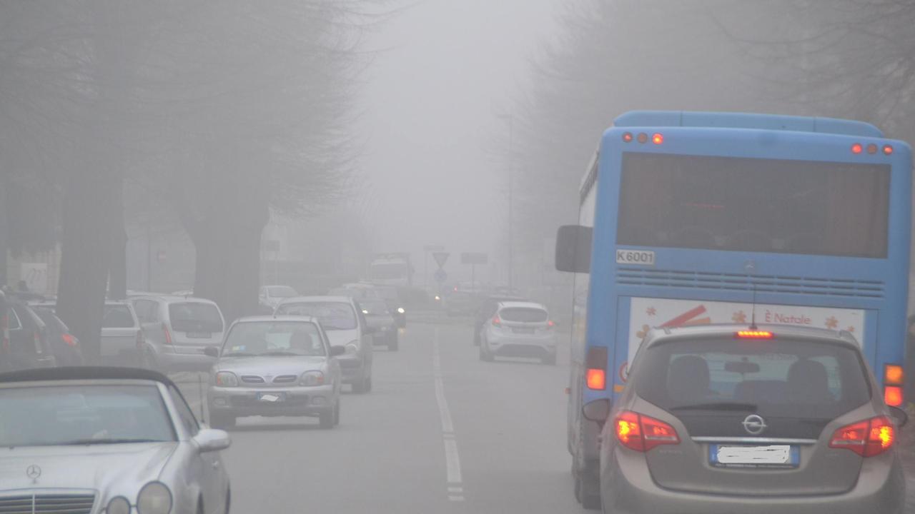 Un'immagine di viale Castracani lo scorso dicembre