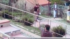 Troppi soldi da spendere Il minigolf non si vende