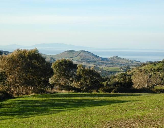 Tre tavoli tematici per lo sviluppo 