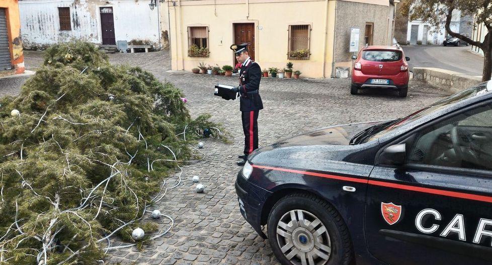 Albero di Natale abbattuto denunciati due giovani 