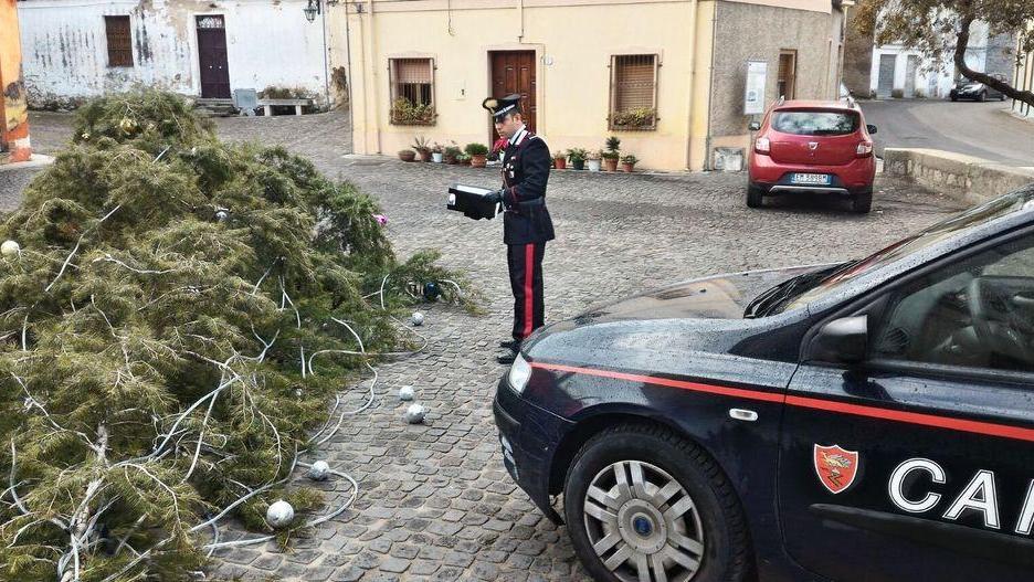 Albero di Natale abbattuto denunciati due giovani
