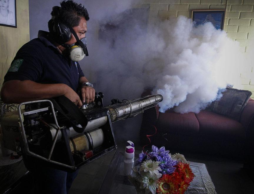 "Virus Zika, il pericolo arriva dalla zanzara tigre"