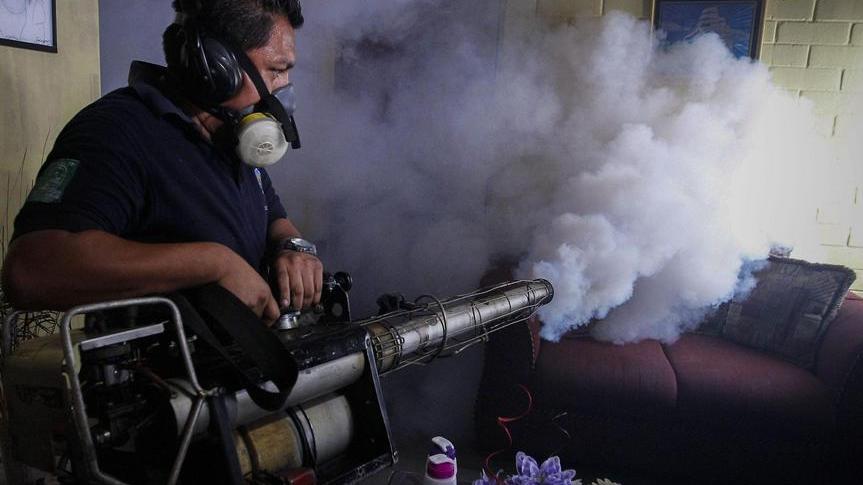 "Virus Zika, il pericolo arriva dalla zanzara tigre"