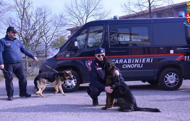 Ferrara, droga nascosta nel cancello dell’asilo 