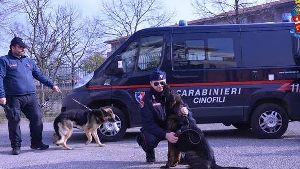 Ferrara, droga nascosta nel cancello dell’asilo
