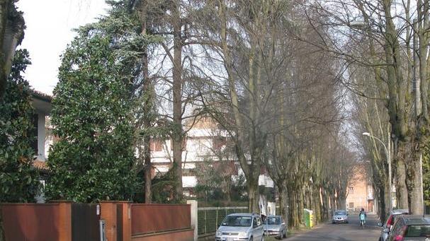 A Carpi svaligiati 2 appartamenti di una nota avvocatessa