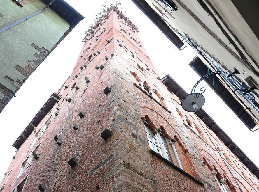 La Torre Guinigi (foto Sernacchioli)