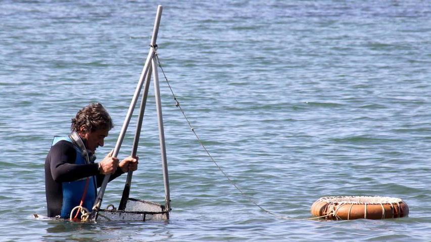 Mare inquinato: la pesca delle arselle viene vietata