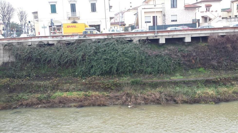 Pulite le sponde dell’Emissario Il sindaco: ora i cittadini ci aiutino