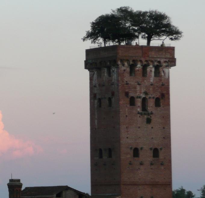L’Opera delle Mura prevede incassi per oltre un milione