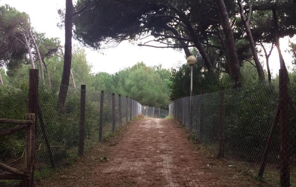 Il lungomare? Quasi inaccessibile 