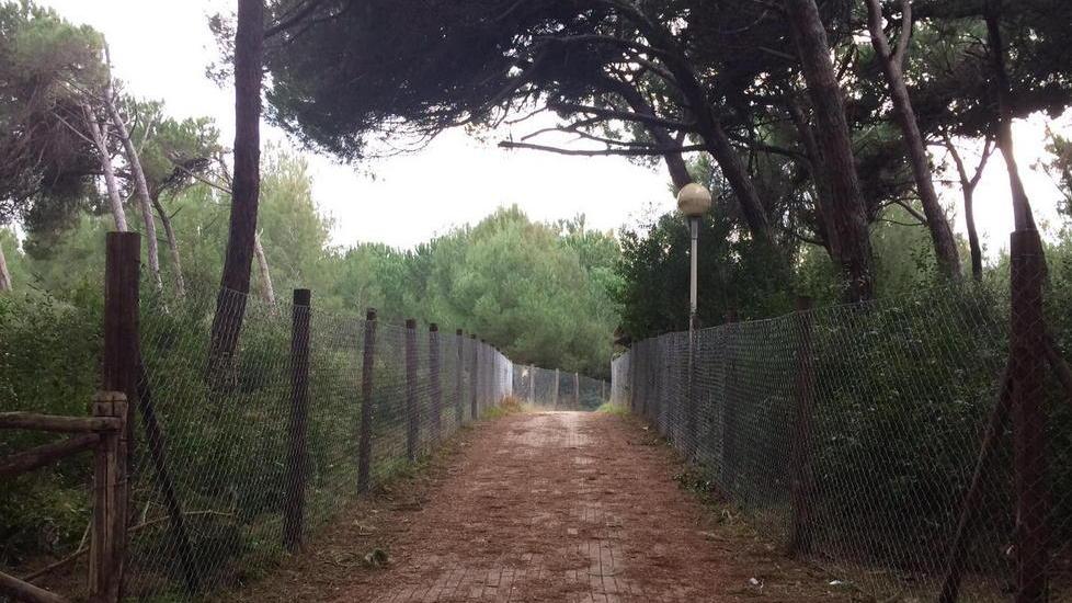 Il lungomare? Quasi inaccessibile