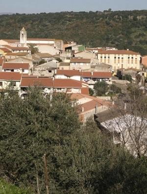 Pecore sgozzate e decapitate Minacce a un allevatore