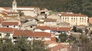 Pecore sgozzate e decapitate Minacce a un allevatore