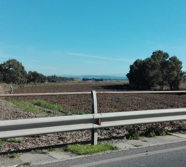 Lotta al giacinto d’acqua, ora è caccia alle risorse 