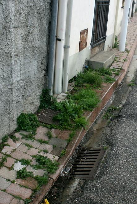 Perdita d’acqua potabile da otto mesi