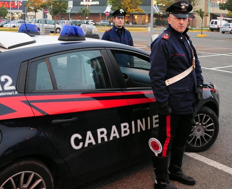 Raid dei ladri in officina e ditta di giardinaggio 