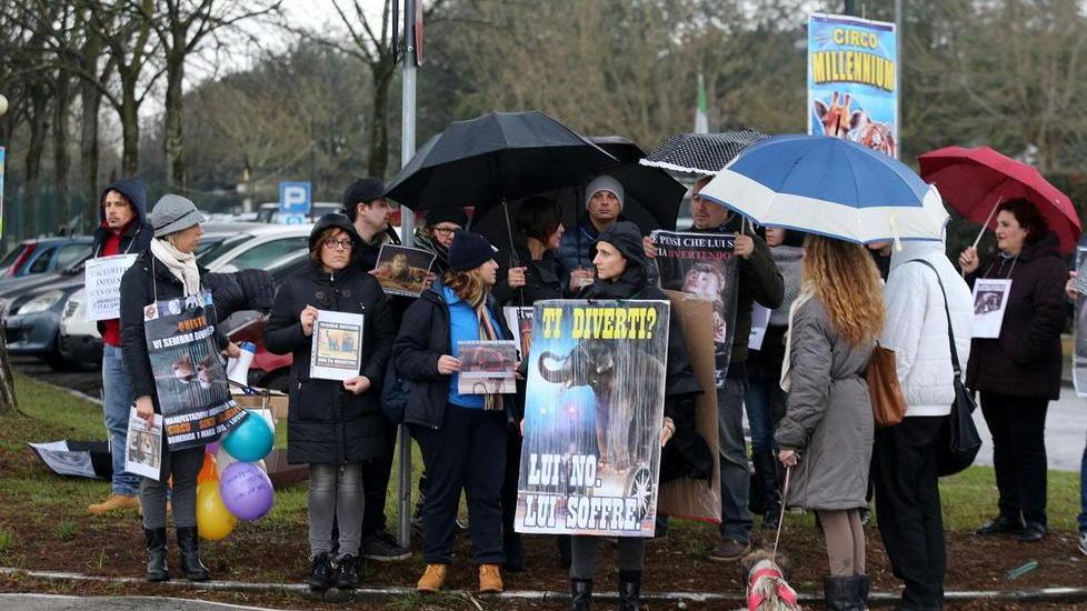 Circo al Mondolandia, va in scena la protesta degli animalisti toscani