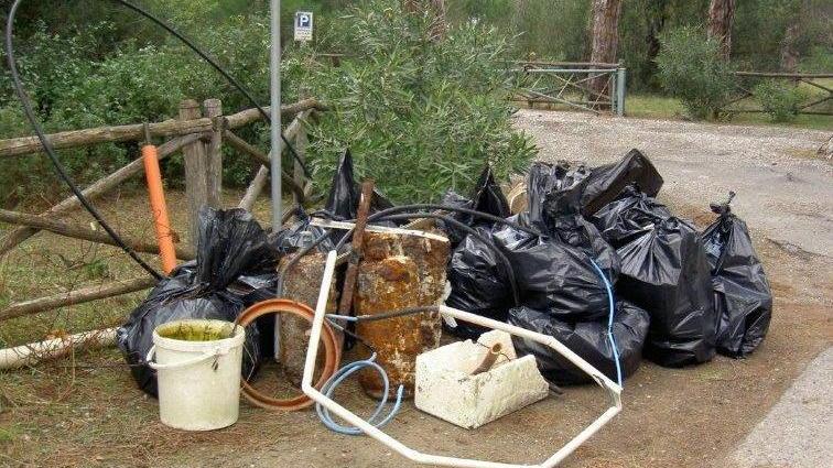 Cumuli di rifiuti raccolti tra spiaggia e pineta