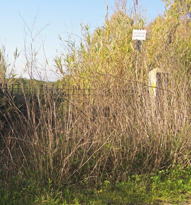 Accordo per la tutela ambientale 