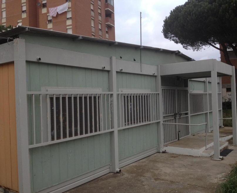 Undici gatti di Gorgona nell’ex centro per i giovani 