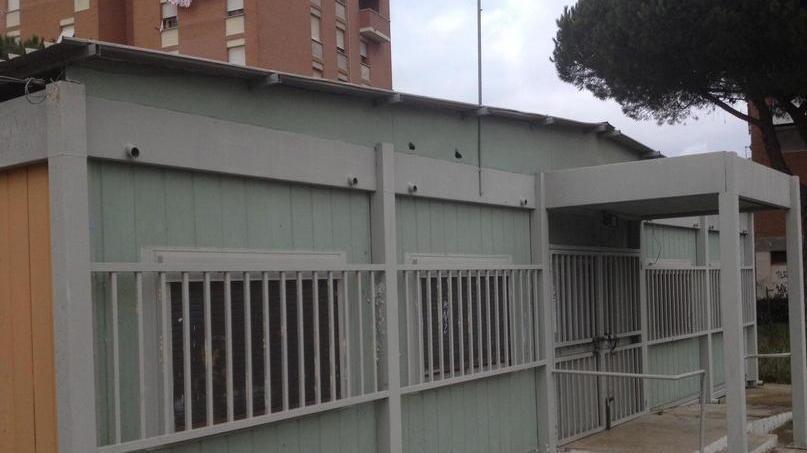 Undici gatti di Gorgona nell’ex centro per i giovani