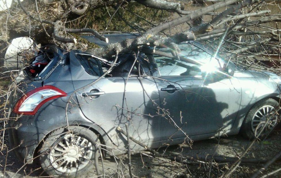 Vento a 70 orari, albero schiaccia un’auto 