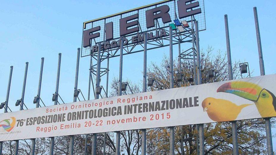 Fiere: l’Ornitologica trasloca e abbandona Mancasale