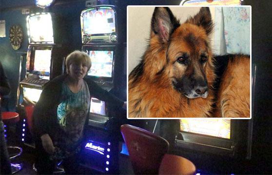 Adele Gaeta e Sara, il cane ucciso dai ladri