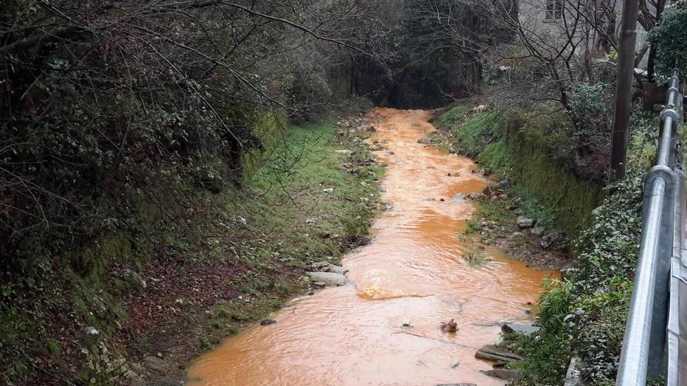 Baccatoio color arancione cresce la preoccupazione