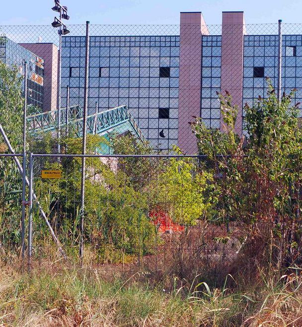 Palaspecchi, è scontro sullo ‘sgombero soft’ 