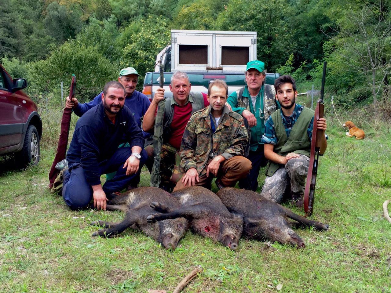 Una battuta al cinghiale (foto d'archivio)