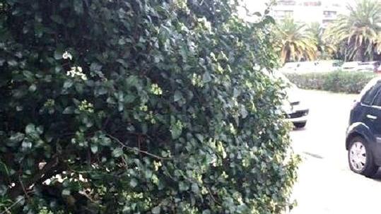 Dal cespuglio spunta il materasso sul quale dormiva il giovane nigeriano