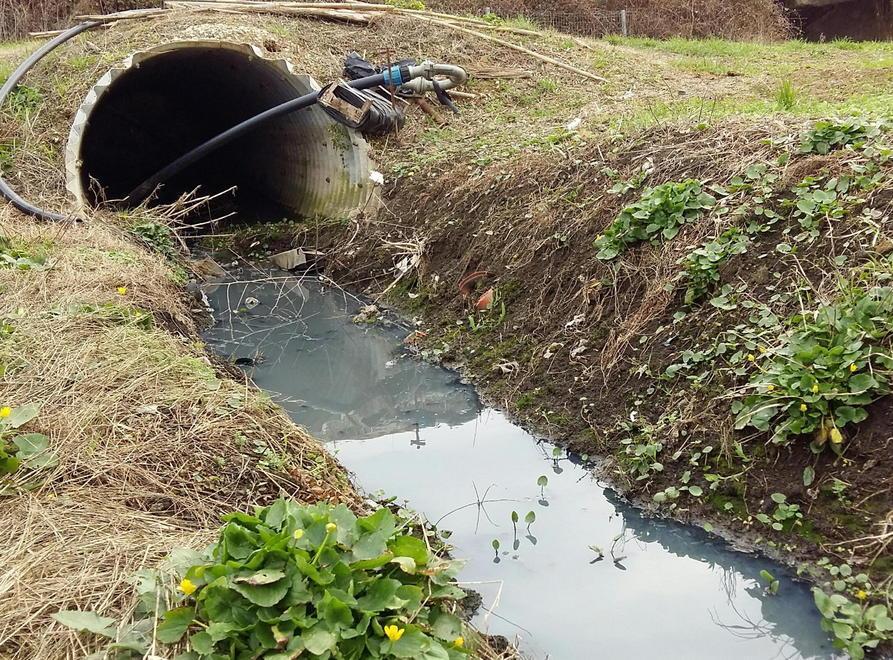 I liquami sversati in una fossa alle spalle di via Ederle a La California