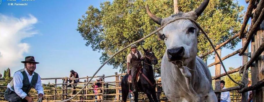 E Il Bivacco sarà anche la casa del buttero 