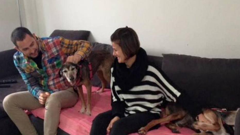 Luna con la sua nuova famiglia